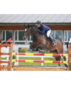 airshell-reiterblouson_7